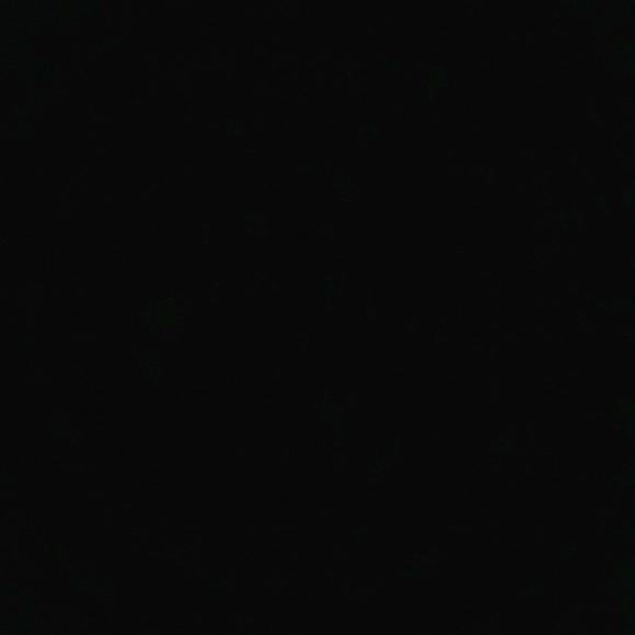 Meet your Posher, Vanessa - Picture 1 of 1